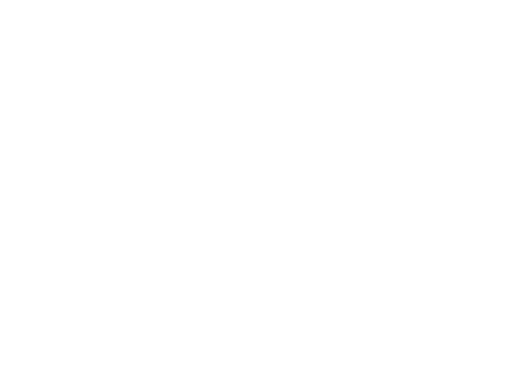 shapir